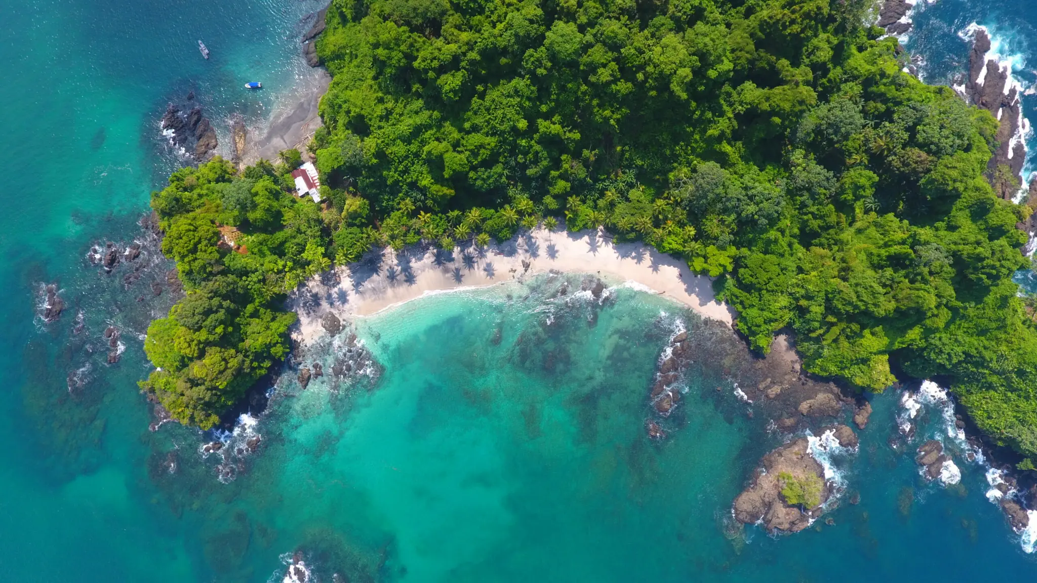 Playa El Almejal en Bahía Solano con tortugas marinas